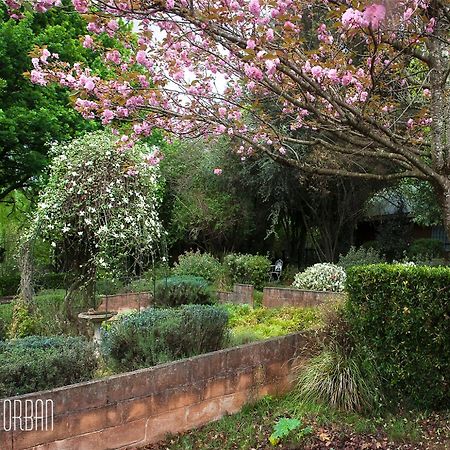 Birches Cottage & The Willows Garden Room Андерберґ Екстер'єр фото