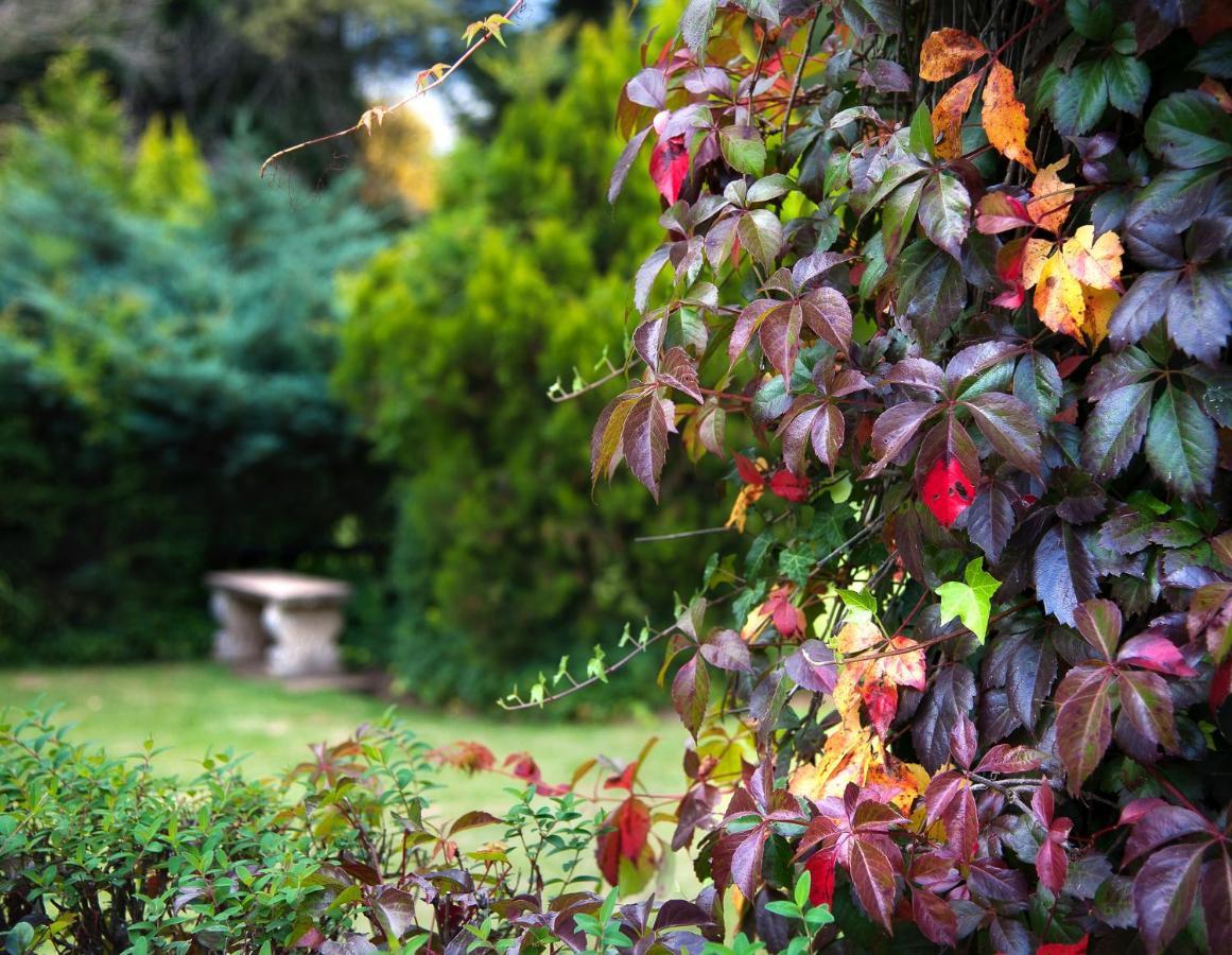 Birches Cottage & The Willows Garden Room Андерберґ Екстер'єр фото