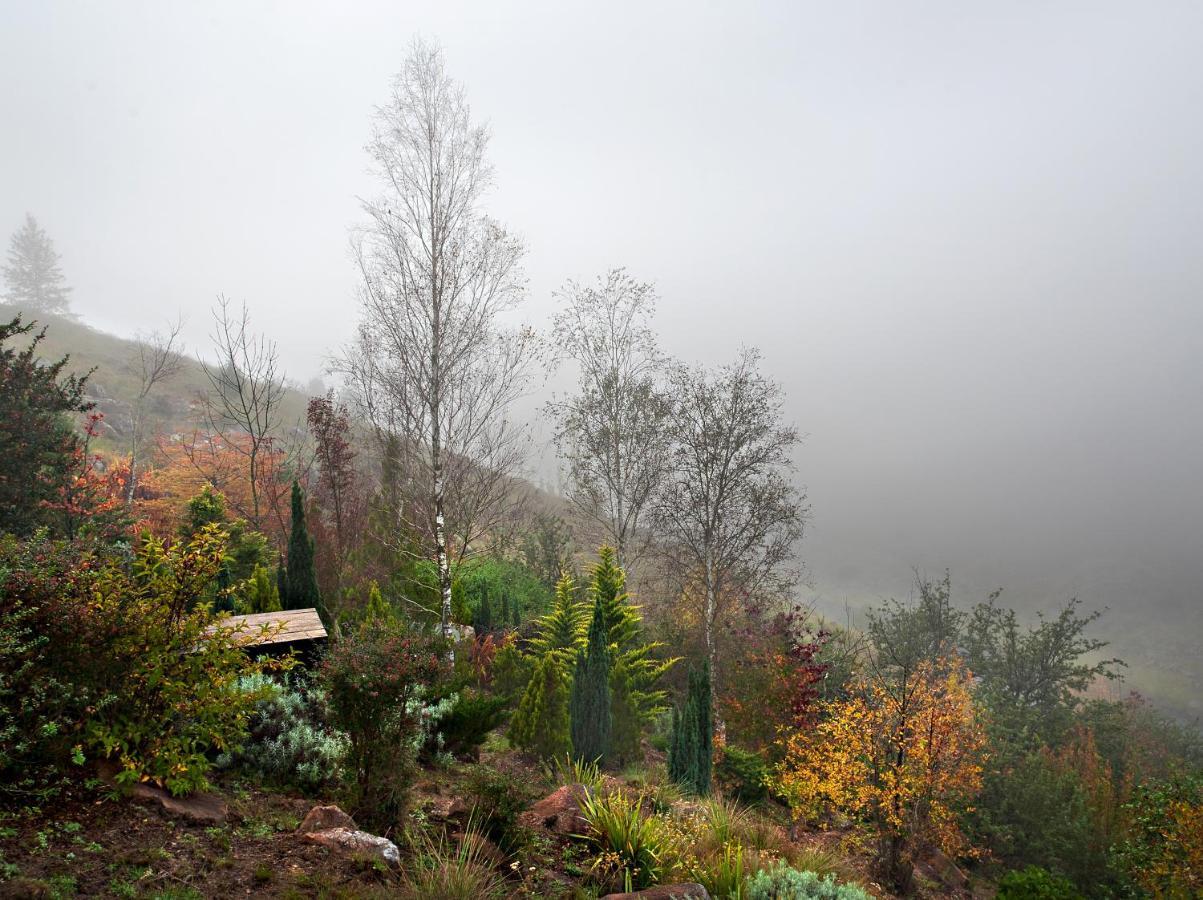 Birches Cottage & The Willows Garden Room Андерберґ Екстер'єр фото