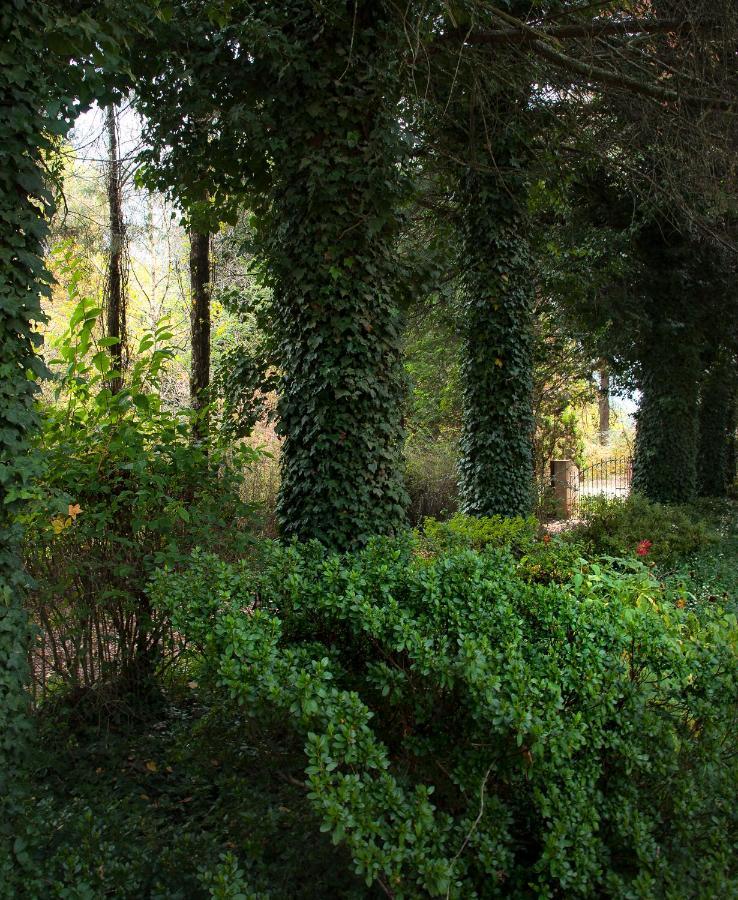 Birches Cottage & The Willows Garden Room Андерберґ Екстер'єр фото