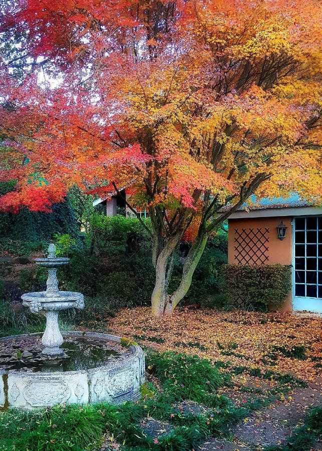 Birches Cottage & The Willows Garden Room Андерберґ Екстер'єр фото