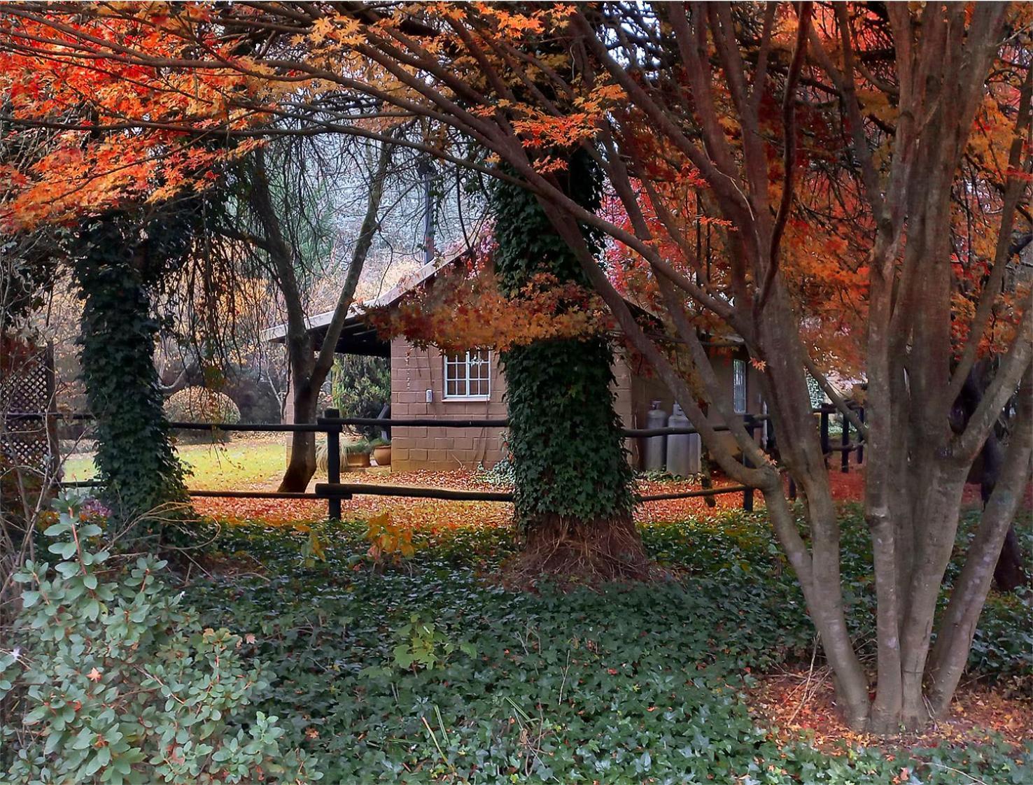 Birches Cottage & The Willows Garden Room Андерберґ Екстер'єр фото