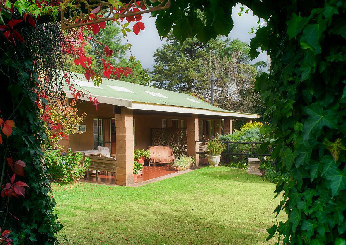 Birches Cottage & The Willows Garden Room Андерберґ Екстер'єр фото