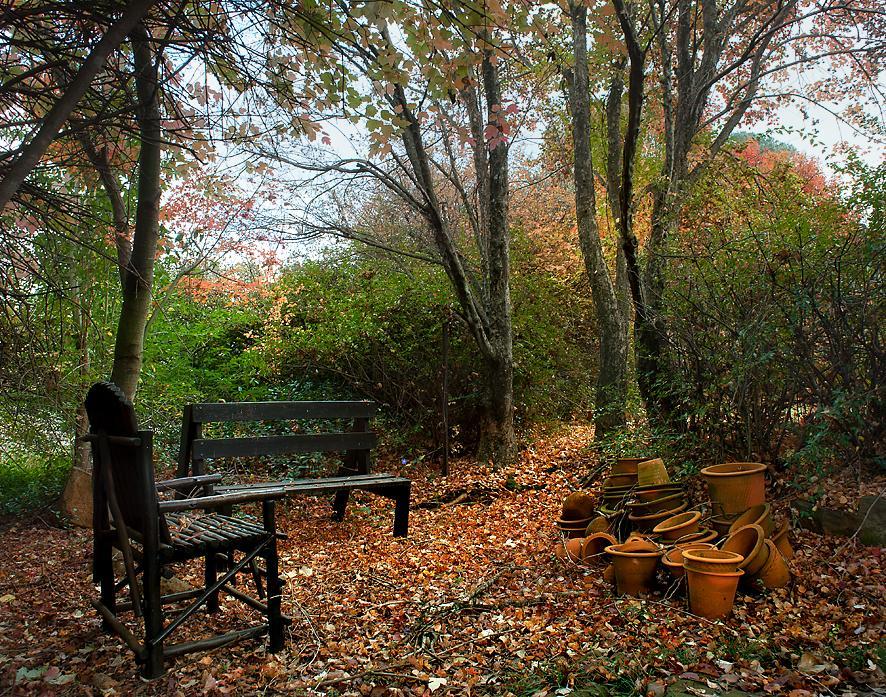 Birches Cottage & The Willows Garden Room Андерберґ Екстер'єр фото