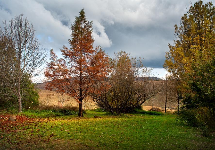 Birches Cottage & The Willows Garden Room Андерберґ Екстер'єр фото